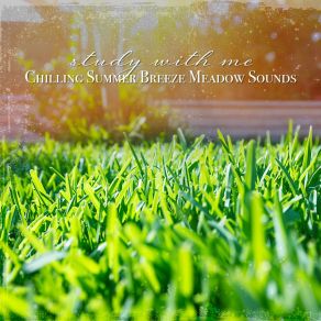 Download track Chilling Summer Breeze Meadow Sounds, Pt. 20 Sebastian Riegl