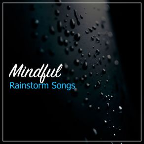 Download track Gentle Rain On A Car Roof White Noise MeditationRainforest, The Rain, Sounds Of Nature: Thunderstorm