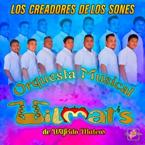 Download track El Amigo Chelo / El Burro Loco Orquesta Musical Wilmat's De Wilfrido Mateos