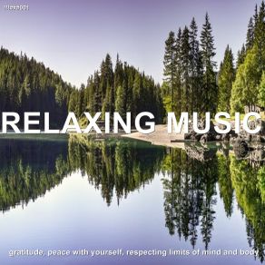 Download track Healing Sounds Meditation Music Zone