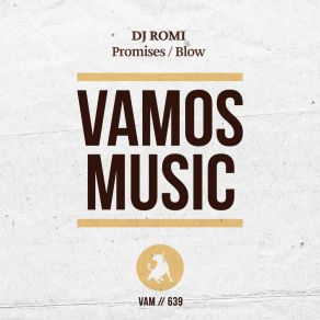 Download track Promises (Radio Edit) DJ Romi