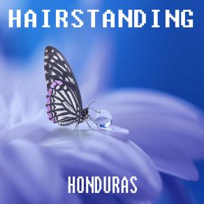 Download track Honduras (Radio Edit) Hairstanding