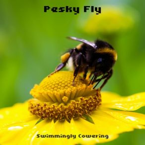 Download track Pesky Fly Swimmingly Cowering