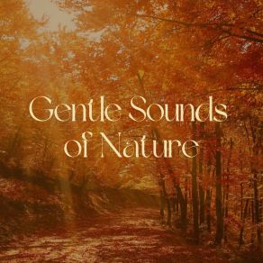 Download track 30 Beautiful Nature Sounds, Pt. 20 Nature Soundscapes