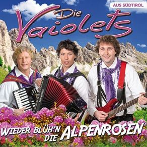 Download track Wieder Blüh N Die Alpenrosen Die Vaiolets