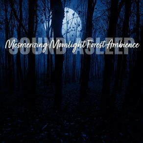 Download track Mesmerizing Moonlight Forest Ambience, Pt. 12 Elijah Wagner