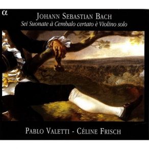 Download track 11. BWV 1019 Sonata VI In G Major - Solo Cembalo Allegro Johann Sebastian Bach