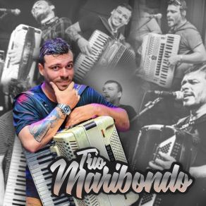 Download track Forró Poliglota Trio Maribondo