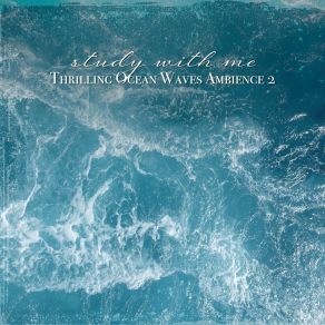 Download track Thrilling Ocean Waves Ambience, Pt. 9 Sebastian Riegl