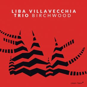 Download track Anima Liba Villavecchia Trio