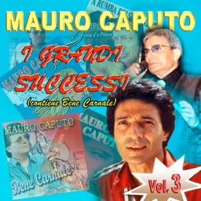 Download track Bene Carnale Mauro Caputo