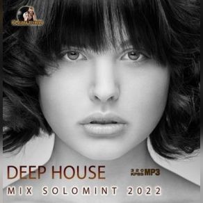 Download track Wired (Original Mix) Sebastian Haas