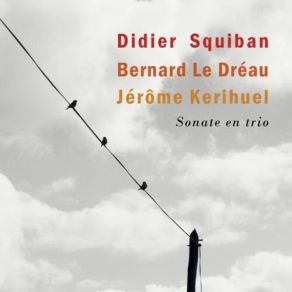 Download track Co-Naissance Didier Squiban, Bernard Le Dreau, Jérôme Kerihuel