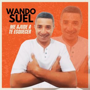 Download track Me Ajude A Te Esquecer Wando Suél