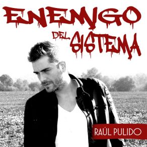 Download track Enemigo Del Sistema Raúl Pulido