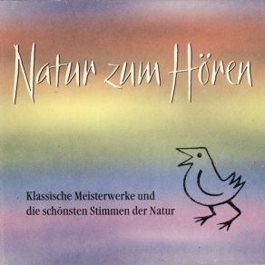 Download track Symphonie Nr. 6 Pastorale 2. Satz L. V. Beethoven