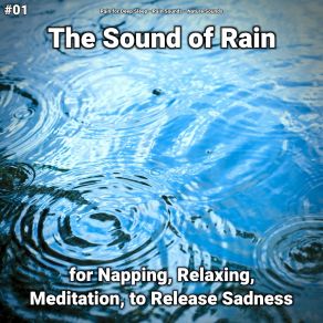 Download track Nature Sounds Of Rain To Chill Out Nature Sounds