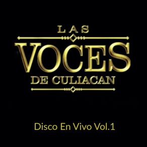 Download track Mucho Gusto Soy Ivan Las Voces De Culiacán