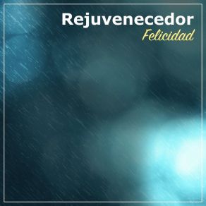 Download track Lluvia Mojada Sleep Ambience