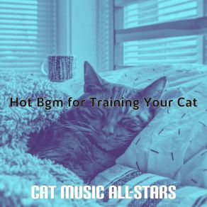 Download track High-Class Ambience For Cats Cat Music All-Stars