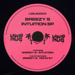 Download track Intuition Breezy S