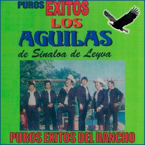 Download track El Corrido De Custodio Los Aguilas De Sinaloa De Leyva