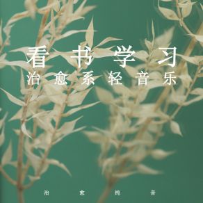 Download track 学习轻铃 (放松纯音乐) 治愈纯音