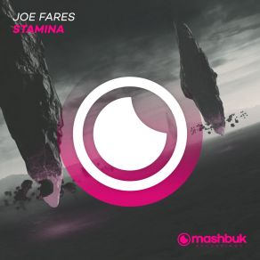 Download track Stamina (Radio Edit) Joe Fares