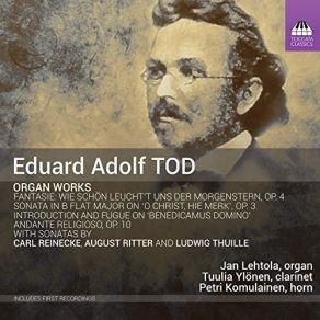 Download track 11. Organ Sonata In B-Flat Major, Op. 3 III. Adagio Eduard Adolf Tod