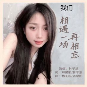 Download track 我们相遇一场再相忘 林子溪