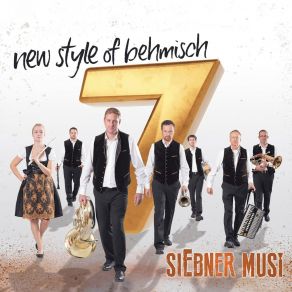 Download track Herzensdinge SiEbner Musi