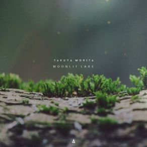 Download track Swamp Forest Takuya Morita