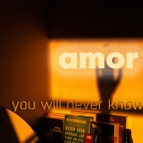 Download track You Will Never Know (Radio Edit) Amor