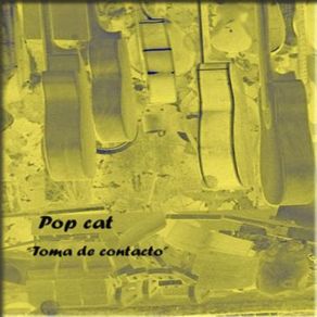 Download track Bar Soledad Pop Cat