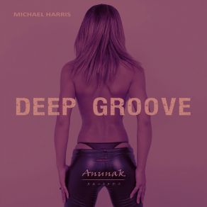 Download track Deep Groove (Radio Edit) Michael Harris