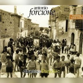 Download track Salsa & Basilico Antonio Forcione