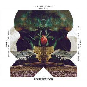 Download track Magneto (Sokool Remix) Moderate Kingdom