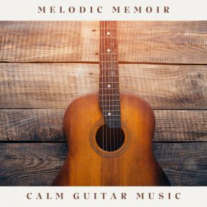 Download track Soft Guitar Calm Guitar Music