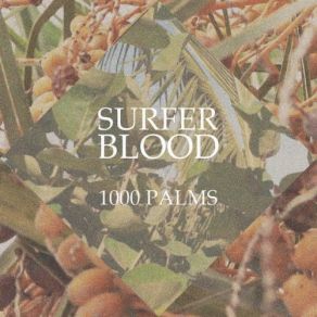 Download track Other Desert Cities Surfer Blood