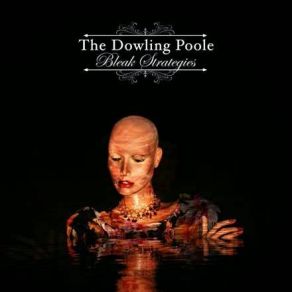 Download track Getting A Licence The Dowling Poole