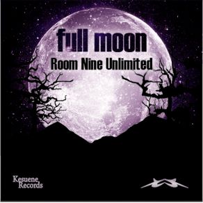 Download track Fenix (On A Rainy Day) Room Nine Unlimited