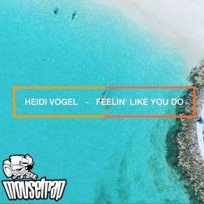 Download track Feeling Like You Do (Afroteq Vocal Mix) Heidi Vogel