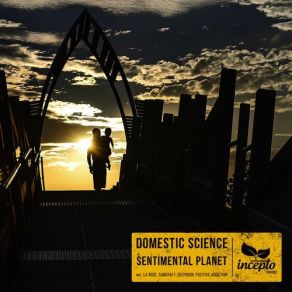 Download track Sentimental Planet (Positive Addiction Remix) Domestic SciencePositive Addiction