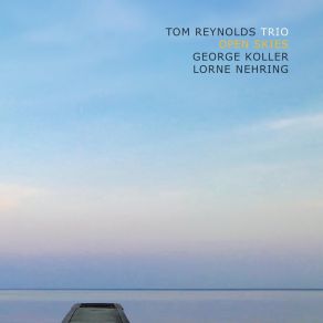 Download track Litany For Fallen Flowers Tom Reynolds Trio