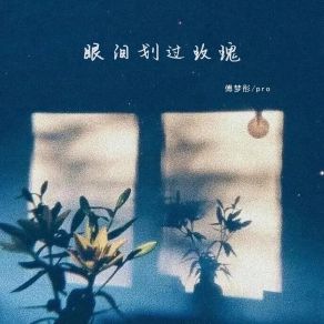 Download track 眼泪划过玫瑰 PRO