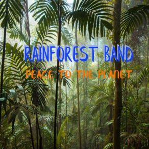 Download track Just Before Sunrise Rainforest Band