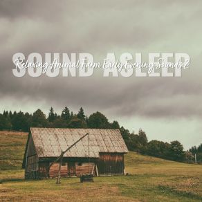 Download track Relaxing Animal Farm Early Evening Sounds, Pt. 2 Elijah Wagner