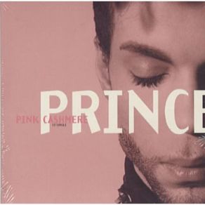 Download track Pink Cashmere (Guitar Version) Prince