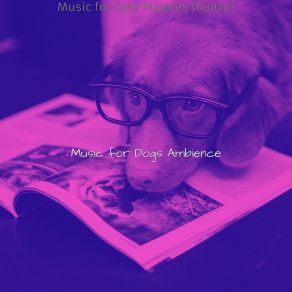 Download track Bright Ambience For Cute Puppies Music For Dogs Ambience