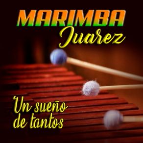 Download track Caricia Y Herida Marimba Juárez